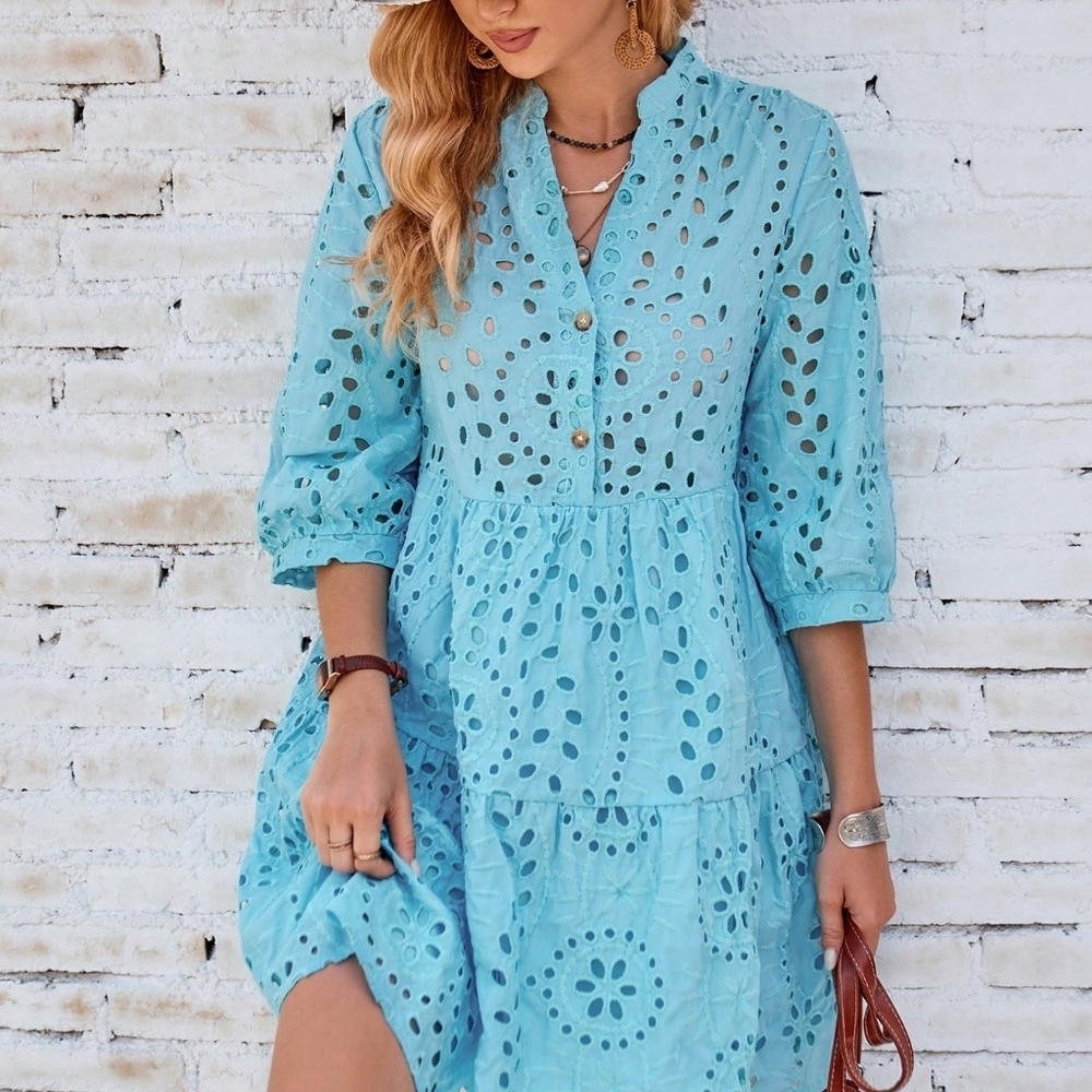 Eyelet Embroidery Button Front Smock Dress - Picture 5 of 5